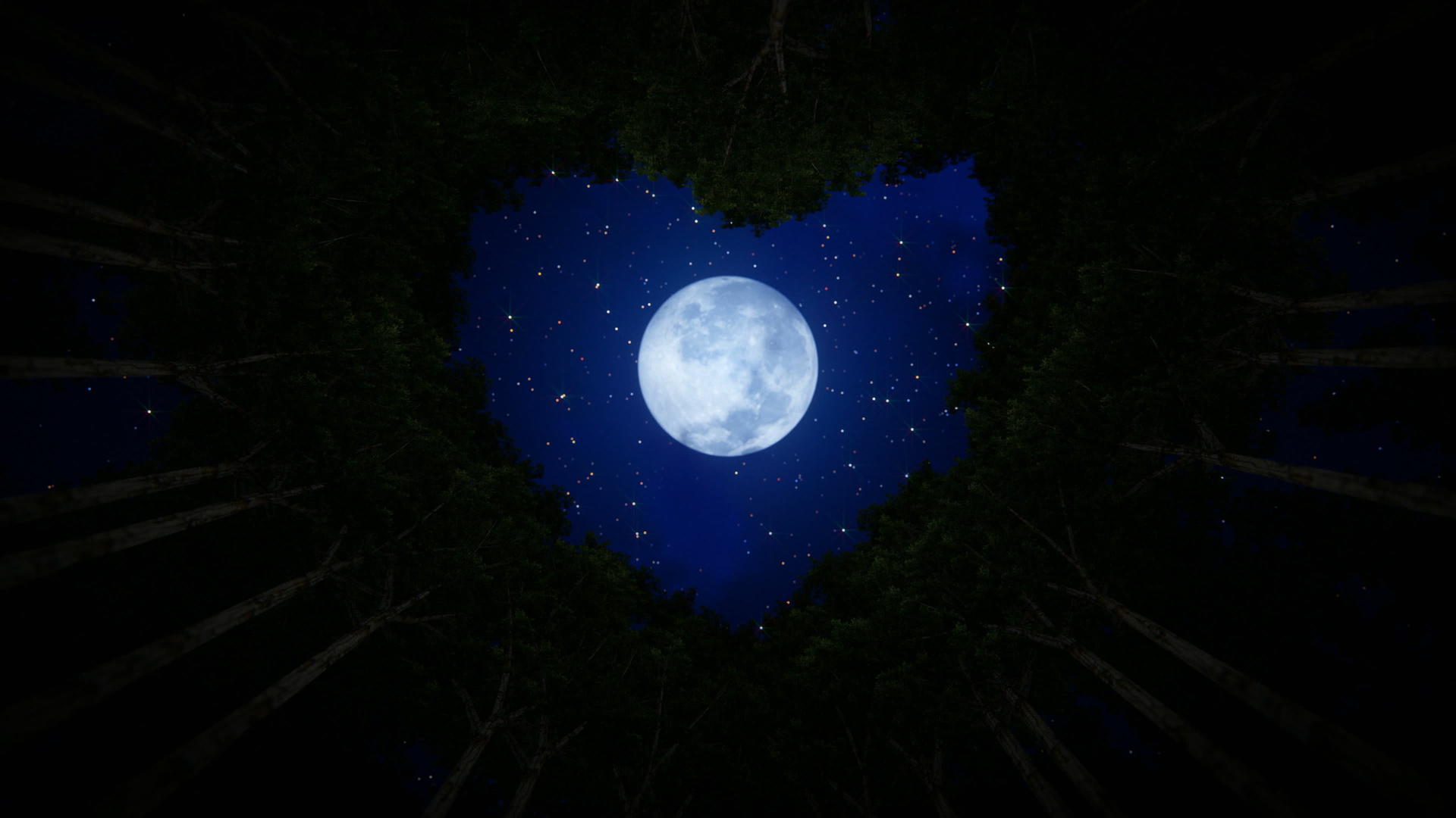 仰望树木的爱情形状月亮照耀着时落的云朵视频的预览图
