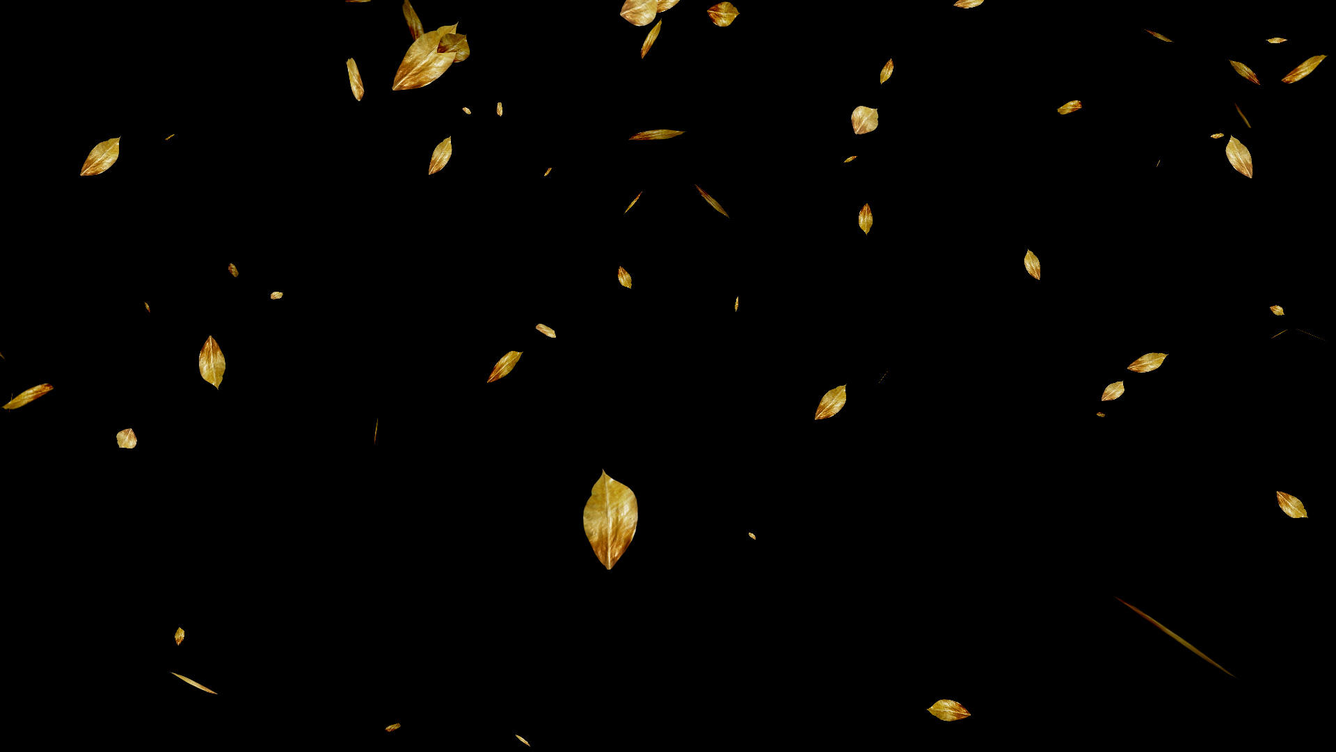 唯美树叶飘落带通道视频视频的预览图
