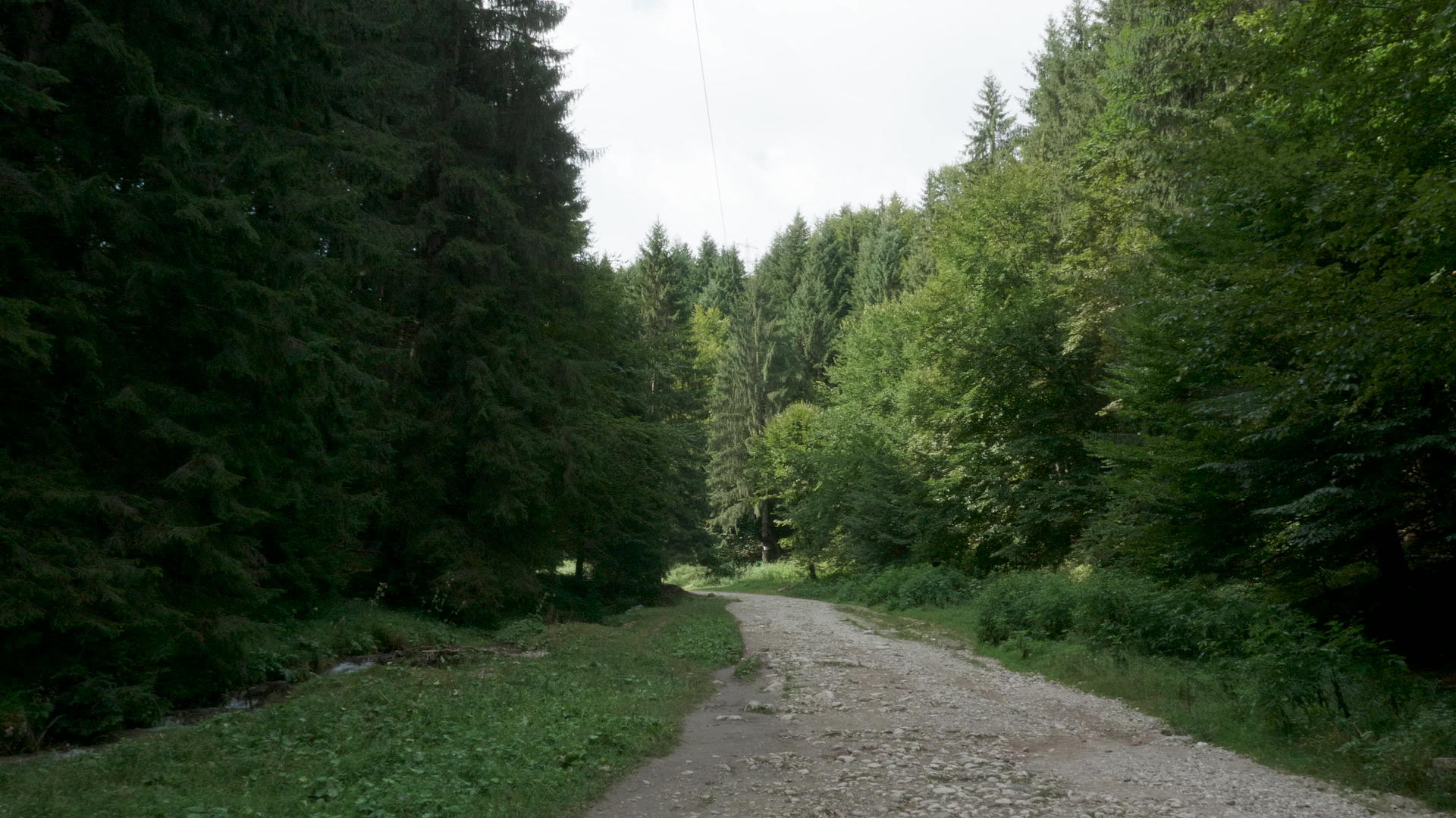 山上的森林道路和绿树视频的预览图