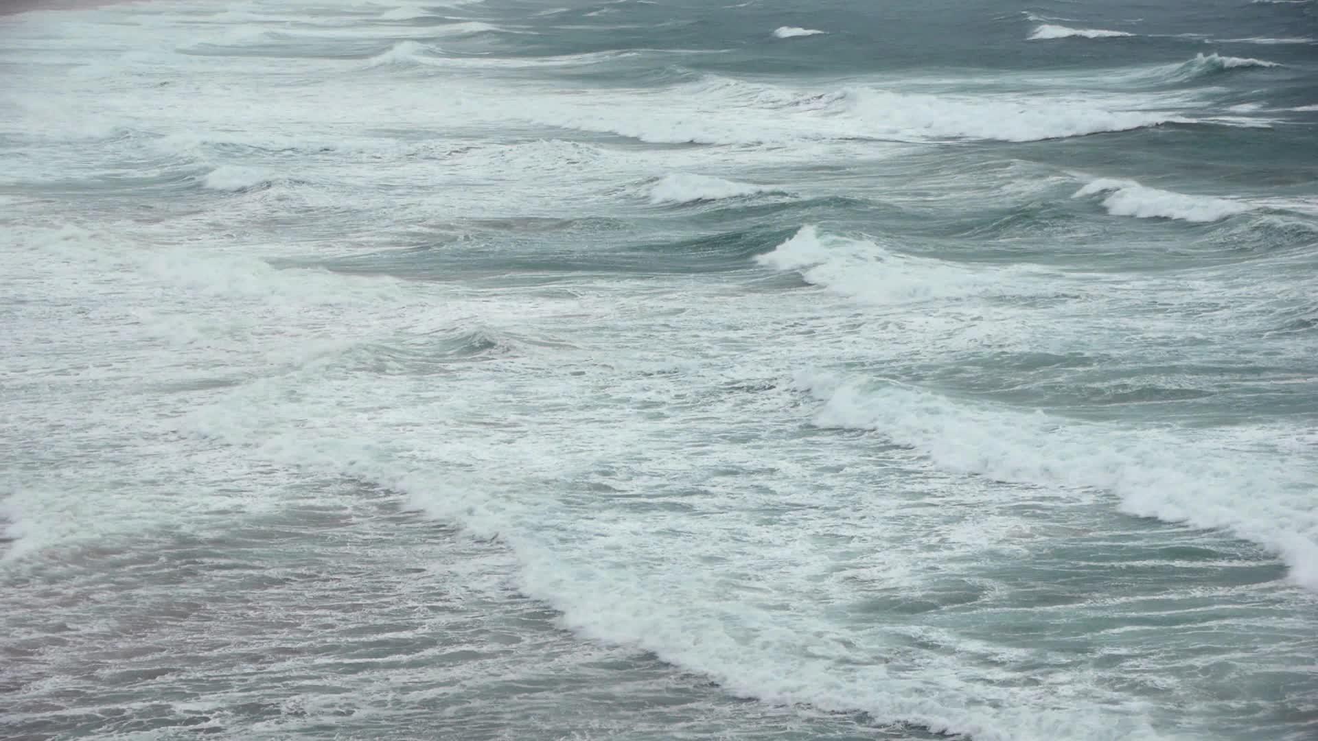 风暴海视频的预览图