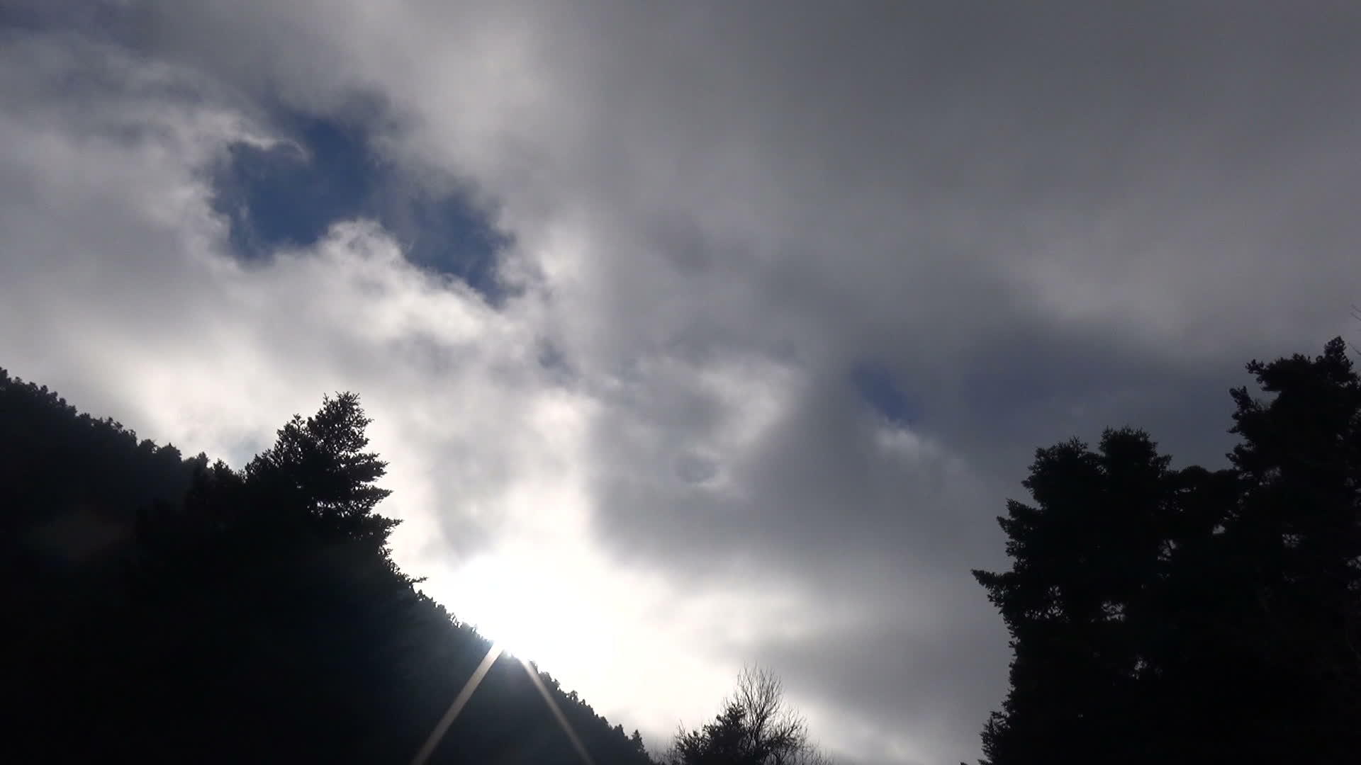 云雾森林2视频的预览图