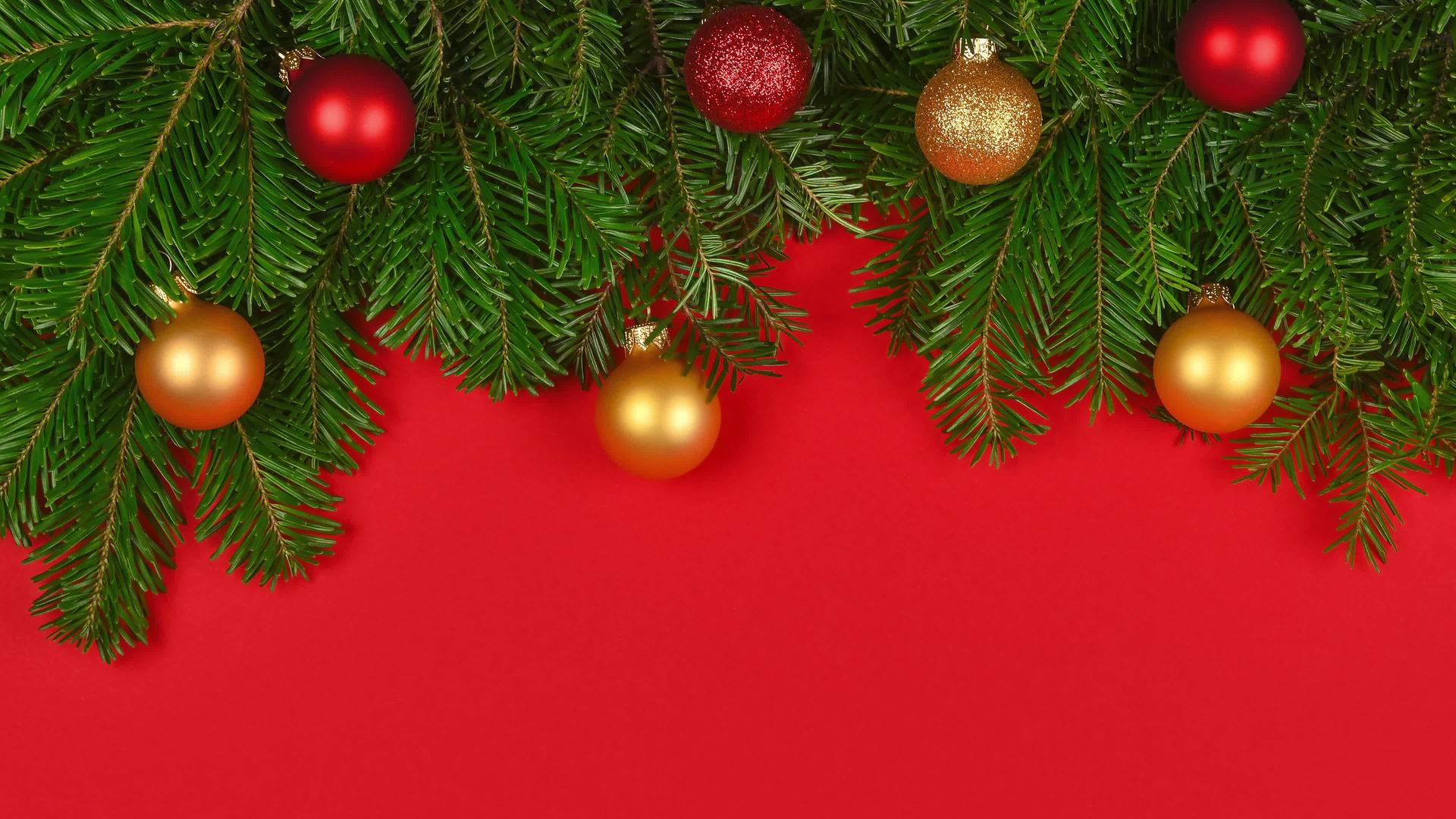 新鲜的圣诞树枝装饰在红色上视频的预览图