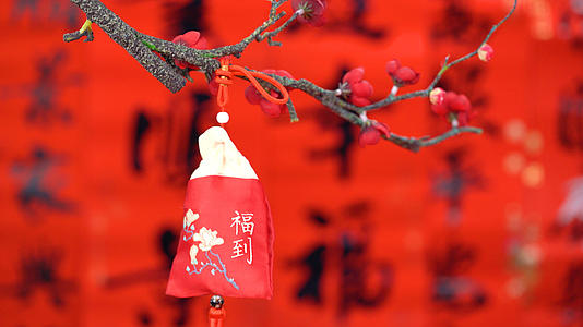 4K红红火火过新年树枝上的福袋视频的预览图