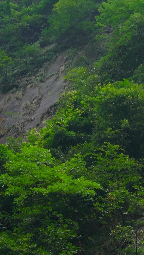明月山云谷5A景区飞瀑集合视频的预览图