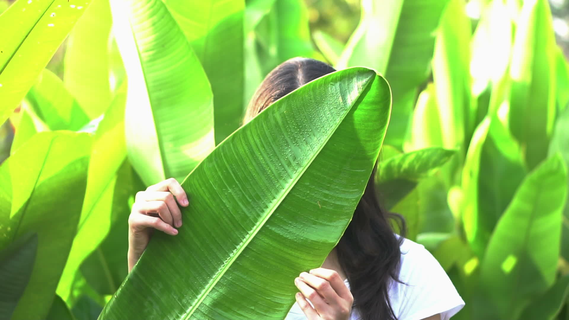 亚洲女人把她的表情藏在热带树叶后面视频的预览图
