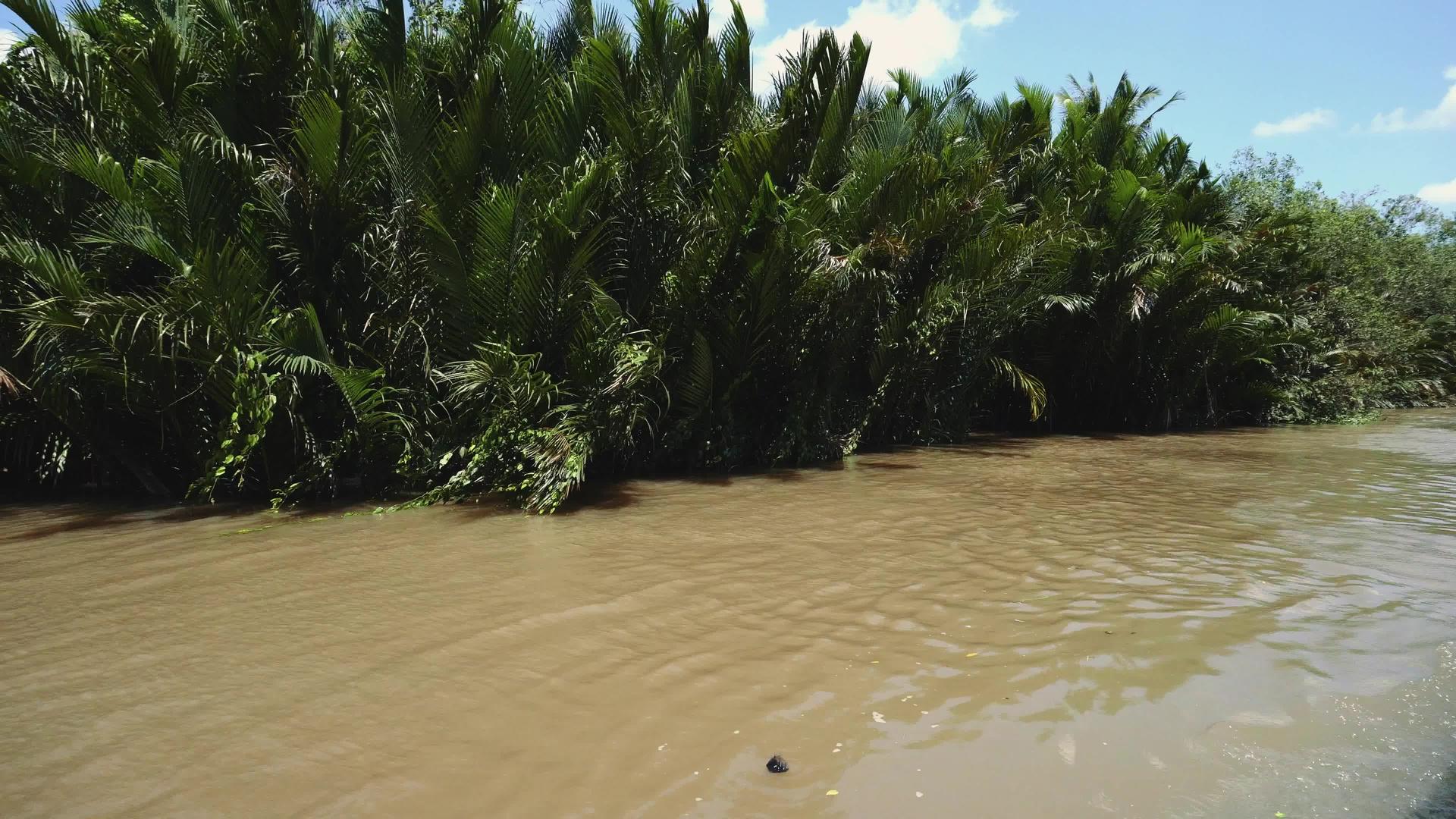 南亚西亚维特南部的湄公河视频的预览图