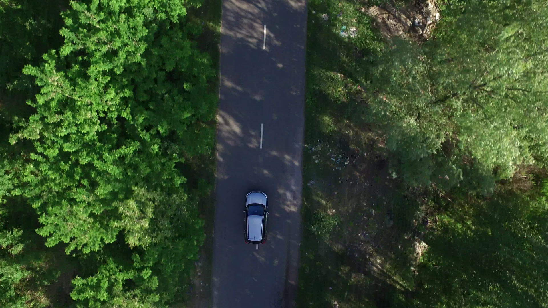 在沥青路上驾驶的顶部观景车穿过绿树穿过乡村穿过绿树视频的预览图
