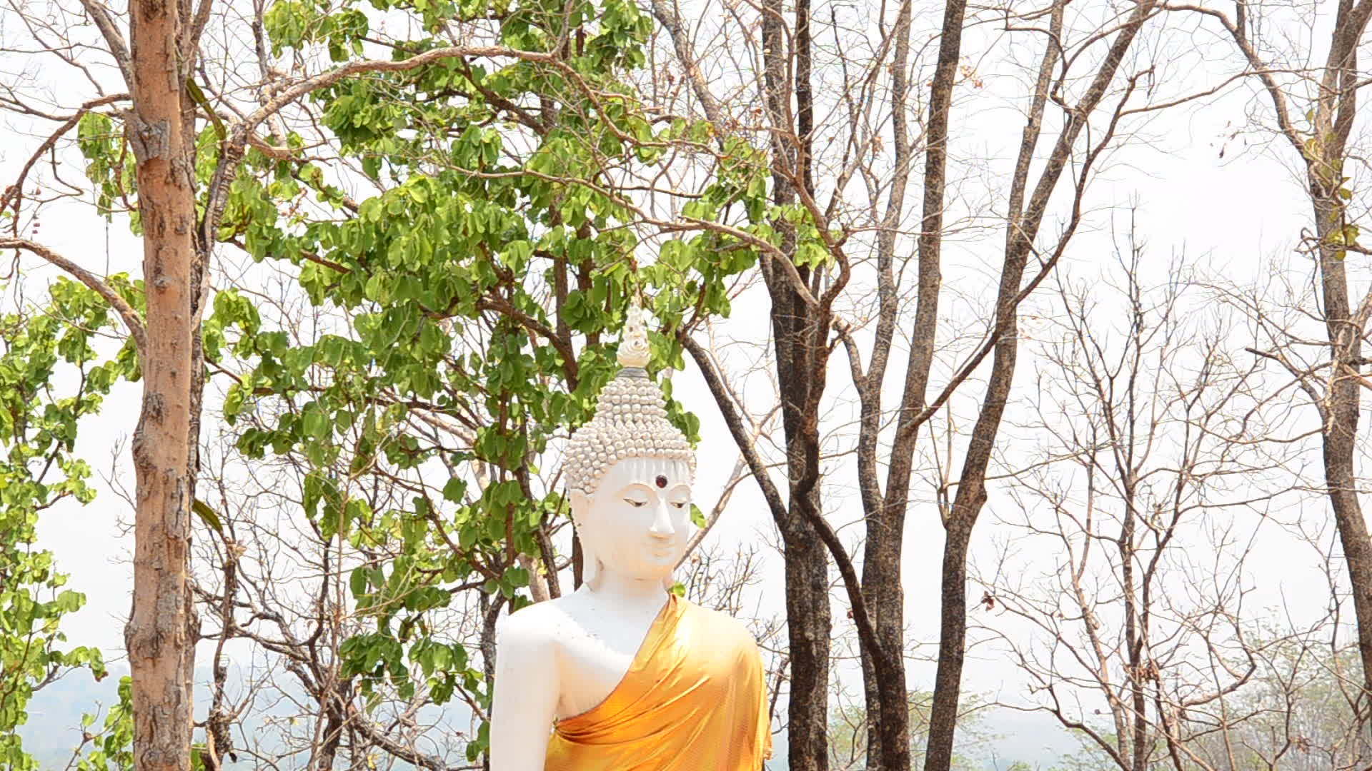 泰国寺庙佛像视频的预览图