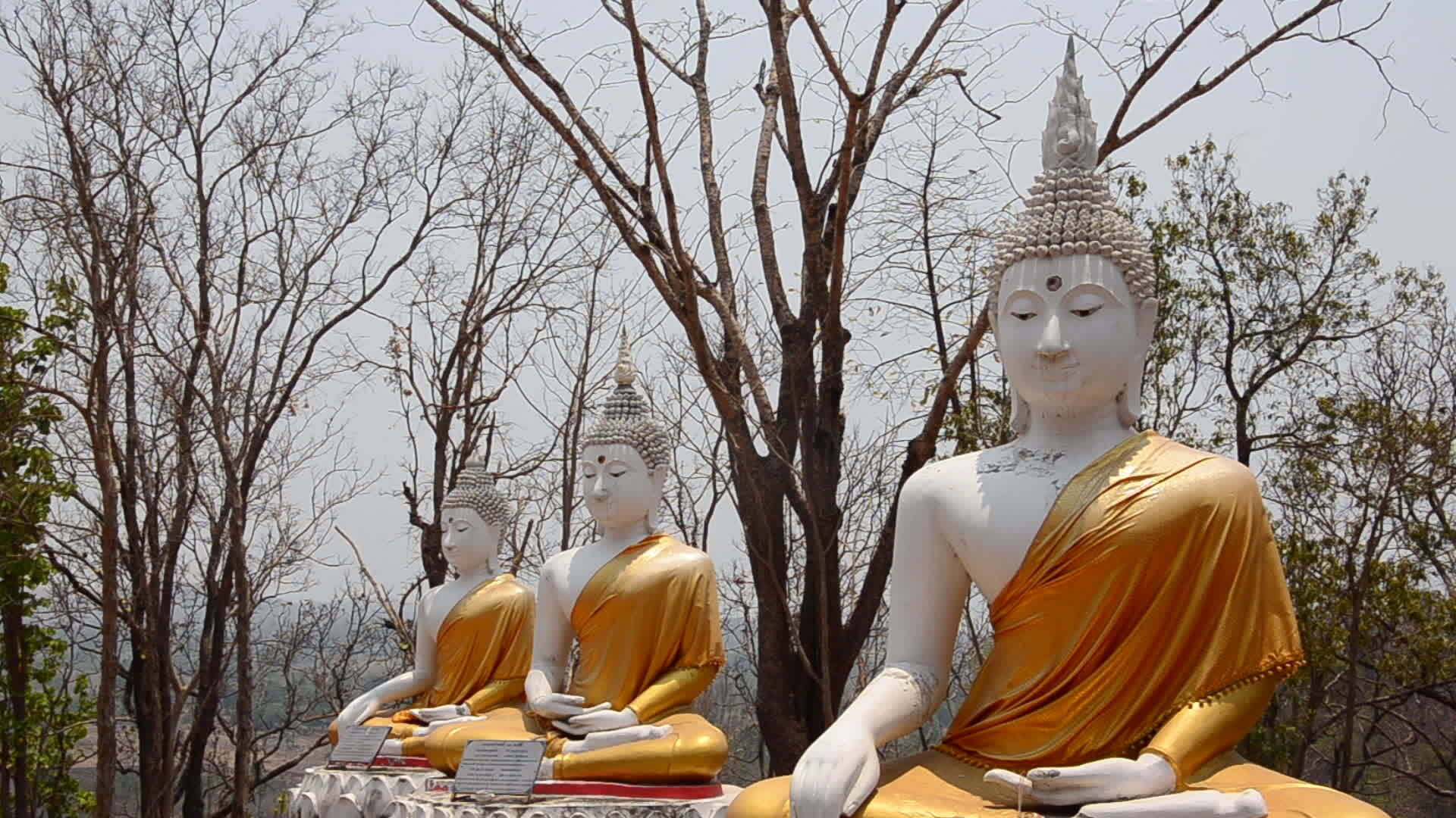 泰国寺庙户外佛像视频的预览图