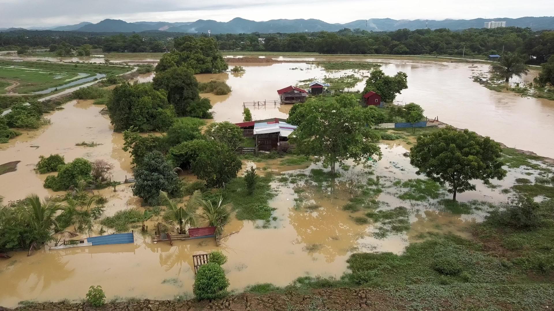 村里的房子被淹了视频的预览图