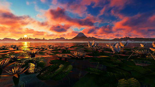 佛吉山日落时的美景视频的预览图