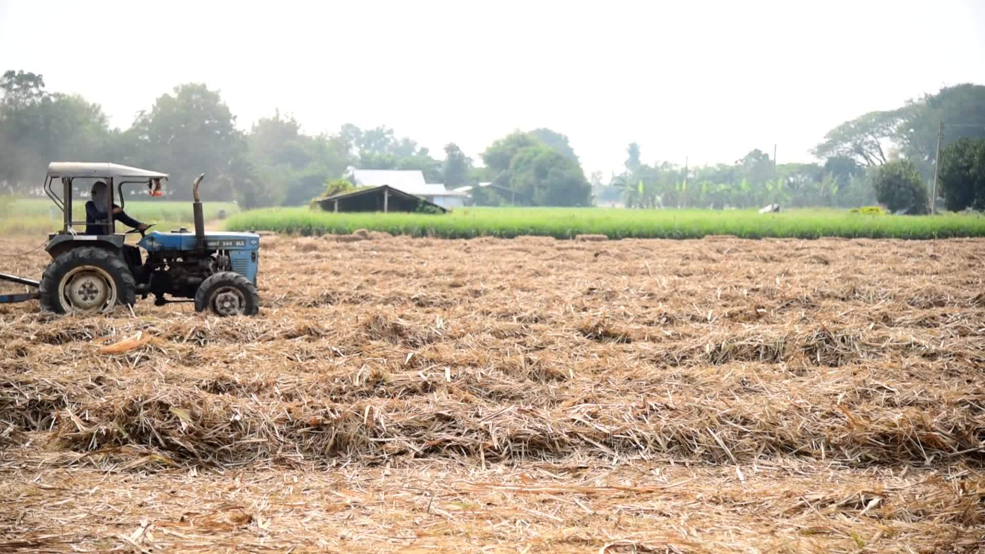 压缩甘蔗叶的拖拉机视频的预览图