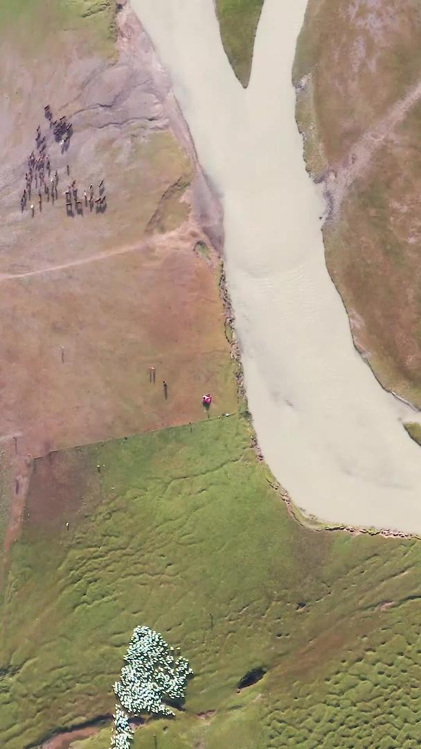 新疆蜿蜒河流的航拍集合新疆视频的预览图