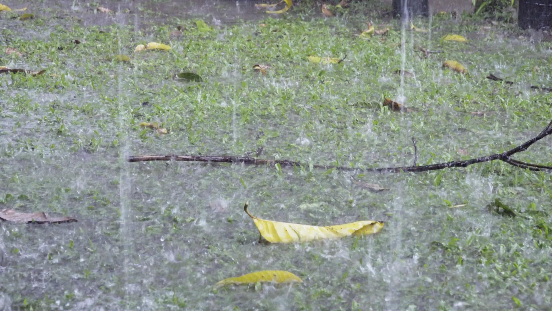 暴雨和暴雨导致后院洪水视频的预览图