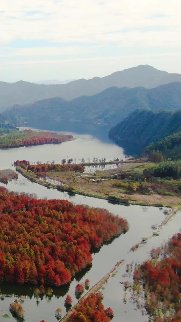 安徽网红旅游景区航拍红衫林景区视频的预览图