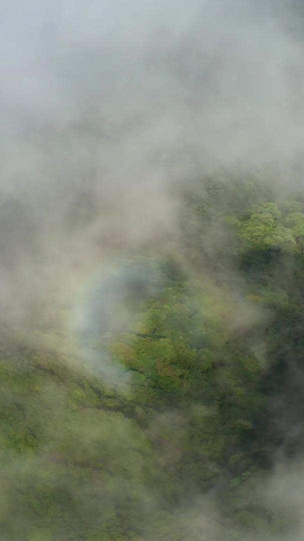 佛光航拍在云海中的视频视频的预览图