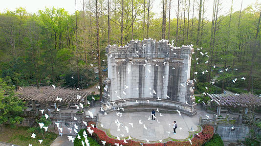 南京中山陵音乐台5A级景区视频的预览图
