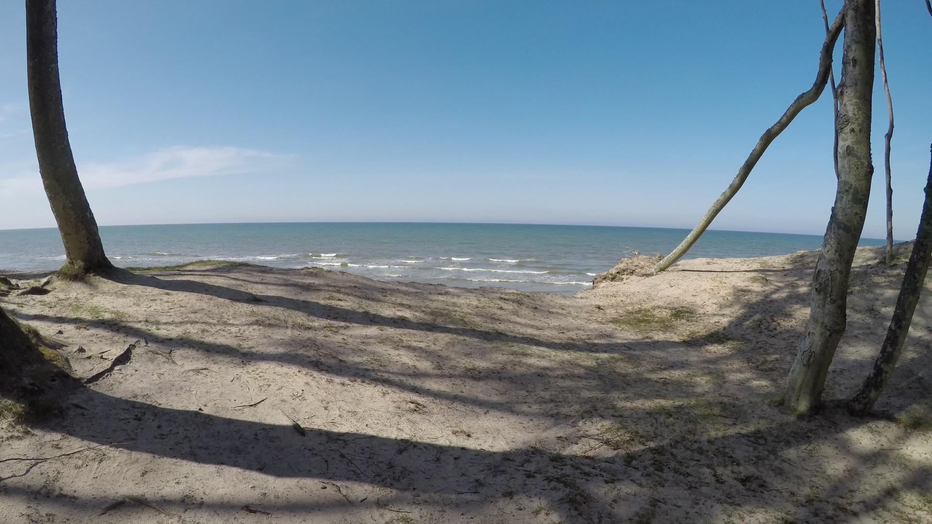 草原上的海岸视频的预览图