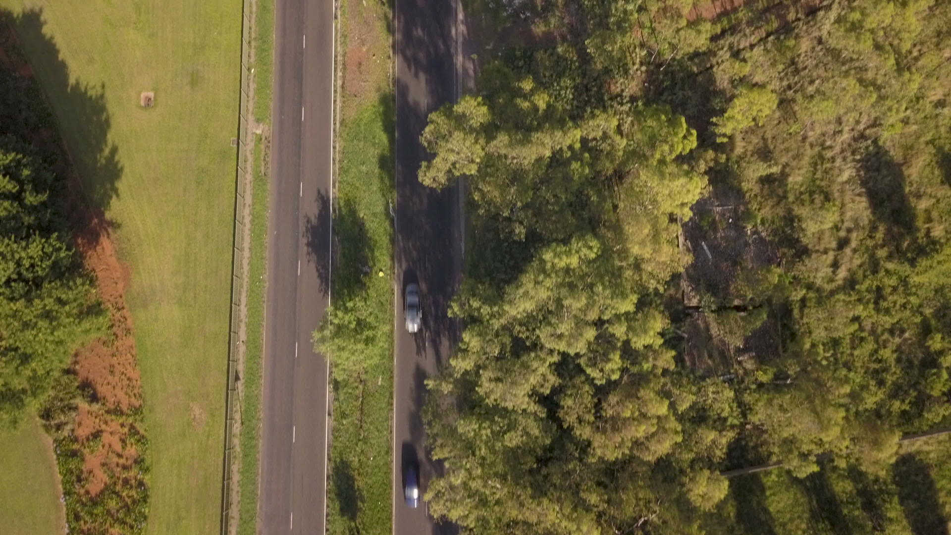 在绿树成荫的道路上直接上空交通视频的预览图