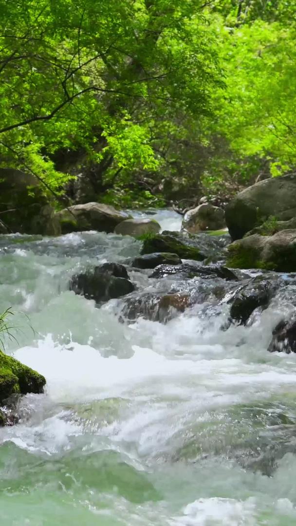山涧溪流动态材料视频的预览图
