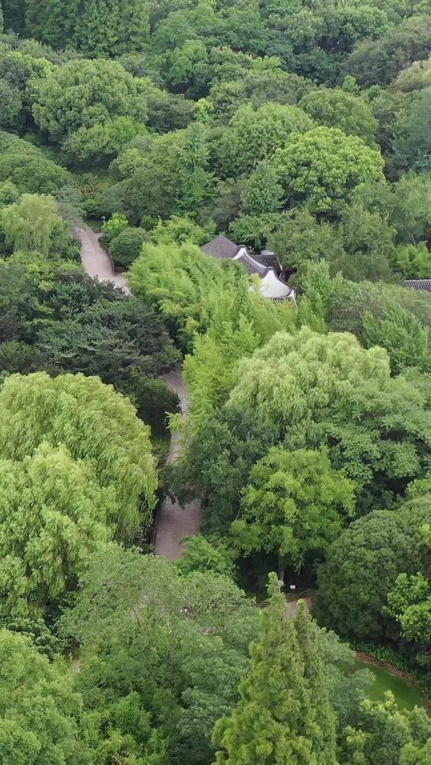 上海大观园古建筑航拍视频视频的预览图