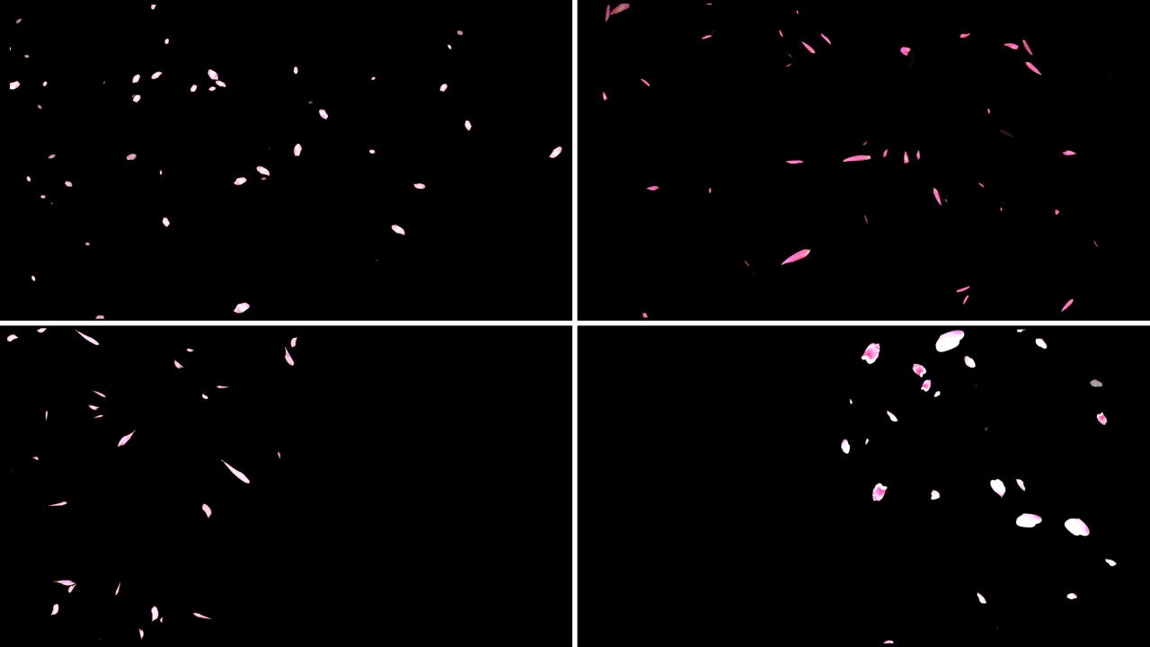 一组漂浮花瓣输出1视频的预览图