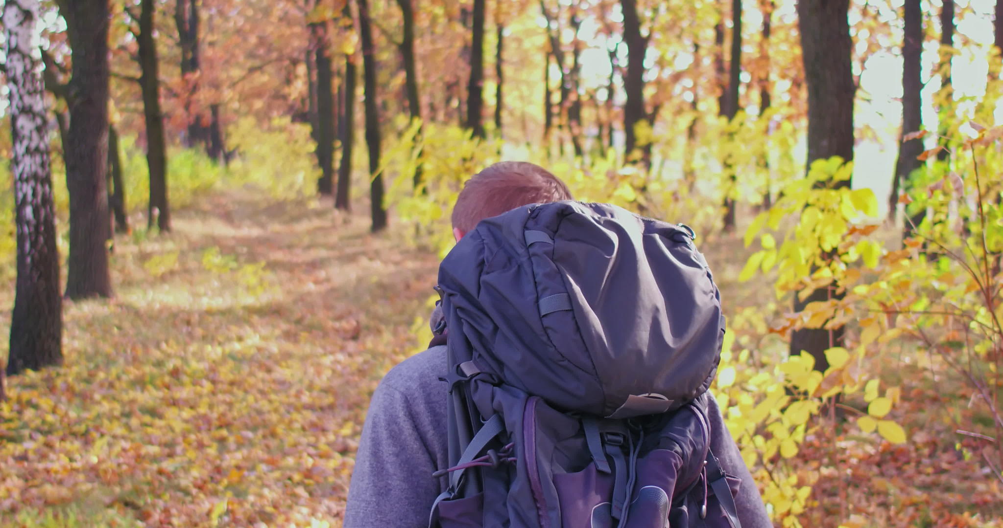 在阳光明媚的白天年轻的游客带着背包在秋天的森林里散步天主教徒的家伙带着树叶上路有点擦伤视频的预览图