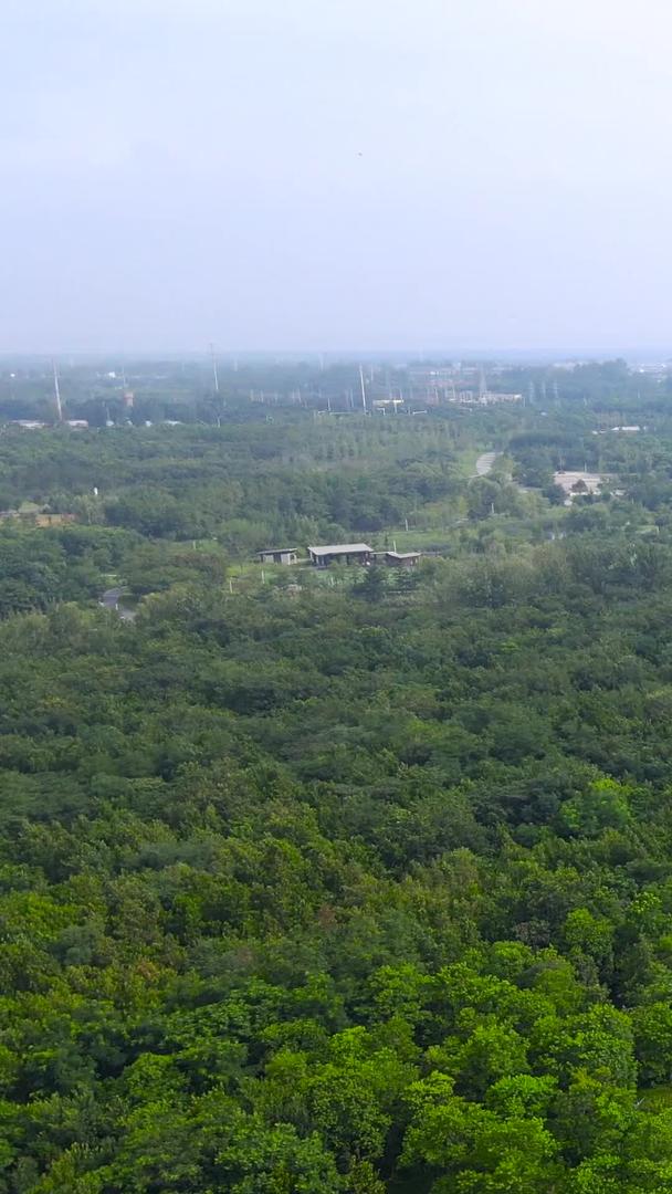 江苏三台山国家森林公园4A风景区天河塔航拍集合集合视频的预览图