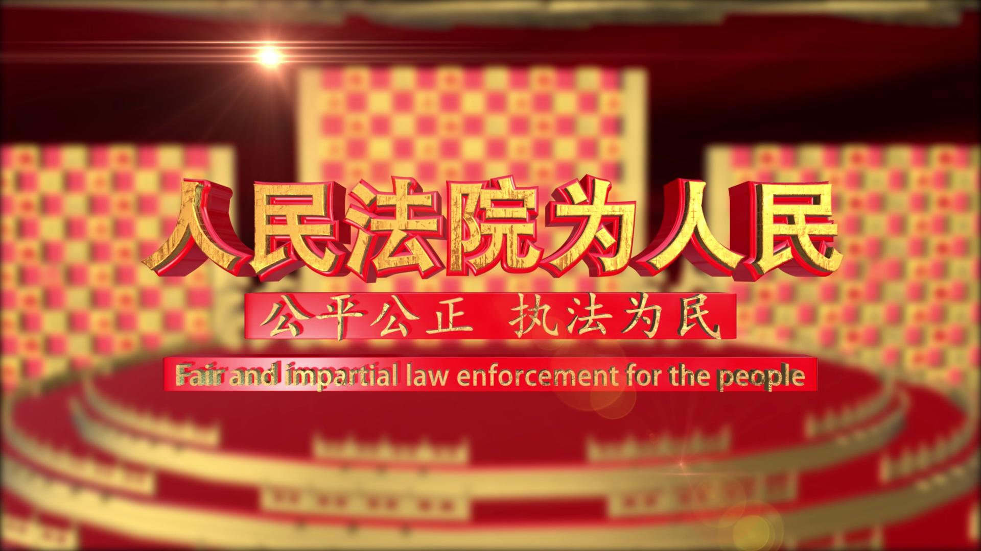 国家宪法法律党政开场ae模板视频的预览图