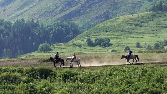 在新疆伊犁大草原上骑马的游客视频的预览图