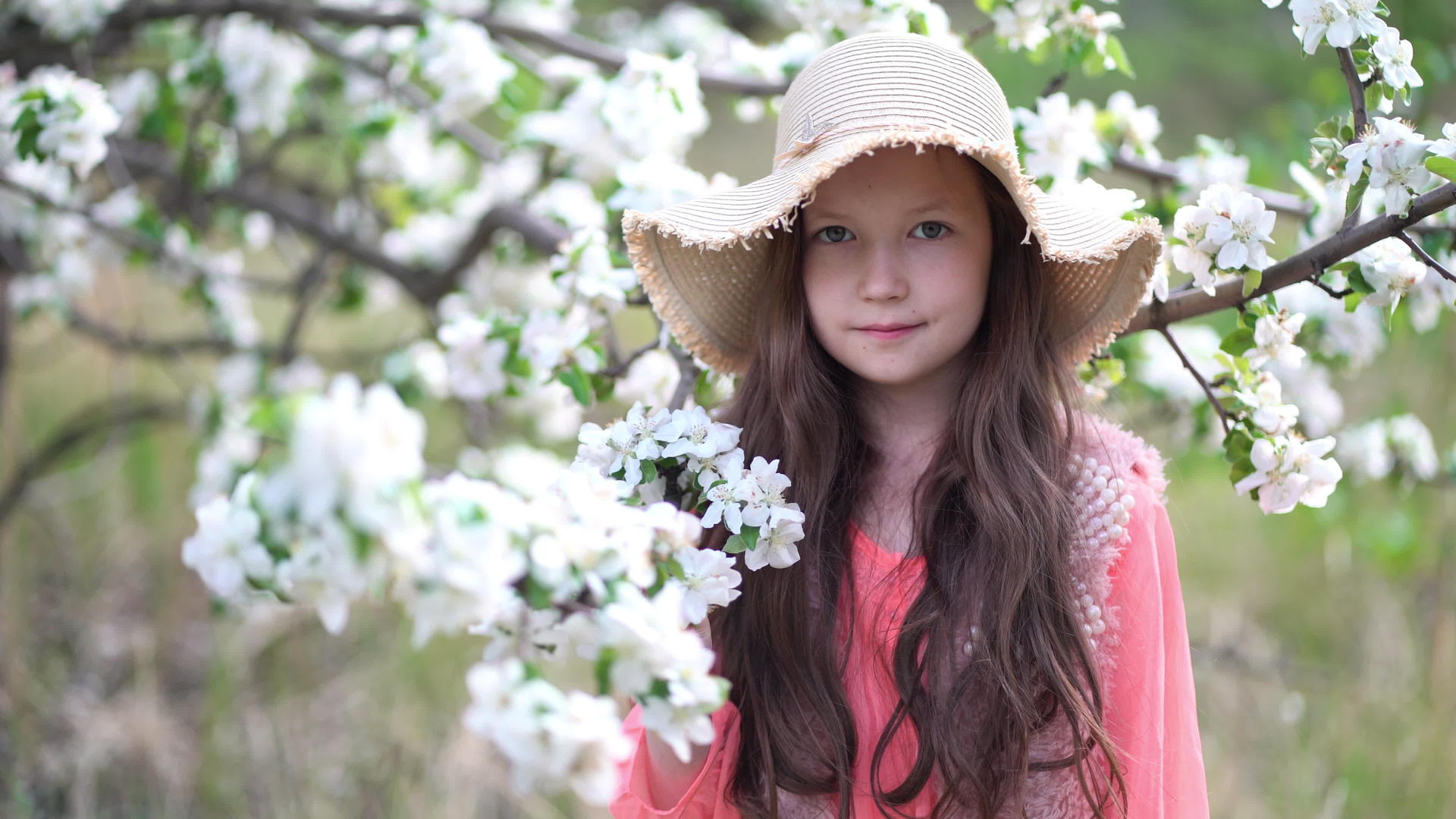 美丽的年轻女孩在苹果盛开的春天果园里漫步视频的预览图