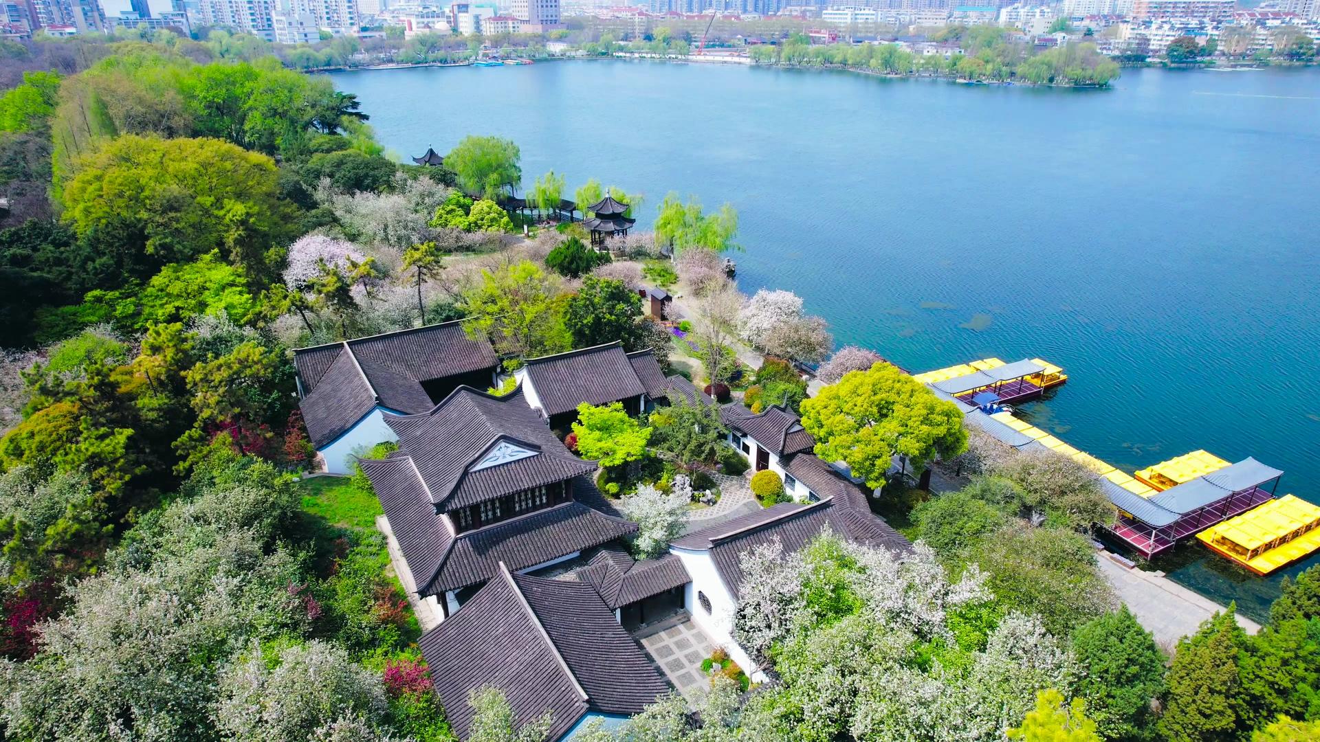 南京莫愁湖景区4A春天风景海棠花盛开4K航拍视频素材视频的预览图