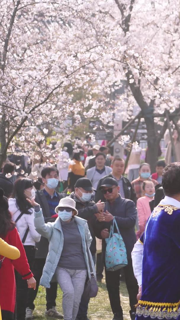 城市春季樱花树下跳蒙古舞的人群素材【这个视频没有肖像权请勿商业使用】视频的预览图