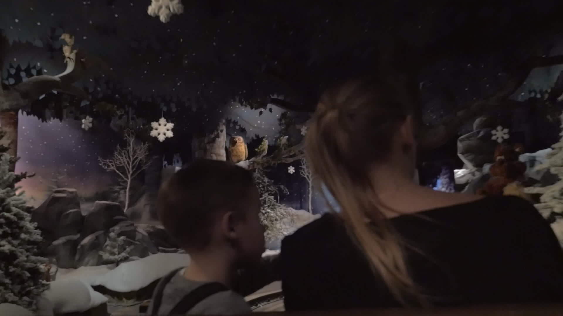 带着孩子的母亲在游乐园的冬季森林里旅行视频的预览图