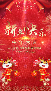 红色喜庆新年快乐节日海报视频的预览图