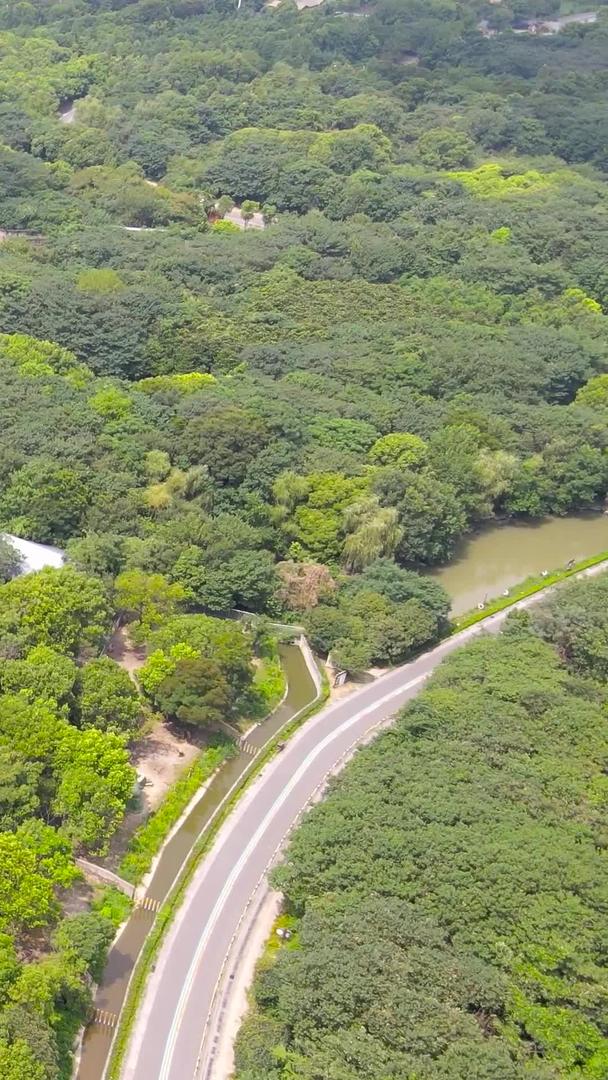 春秋淹城景区5A景区野生动物园航拍集合集合视频的预览图