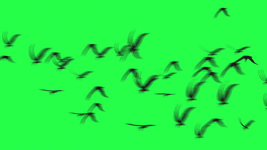 偏僻的天空鸟群-绿屏视频的预览图