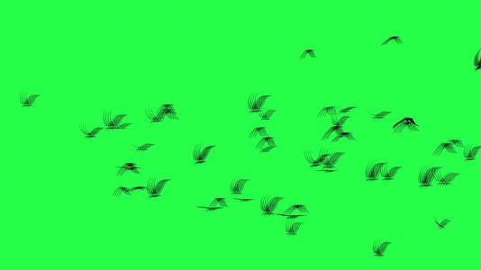 天空鸟群视频的预览图