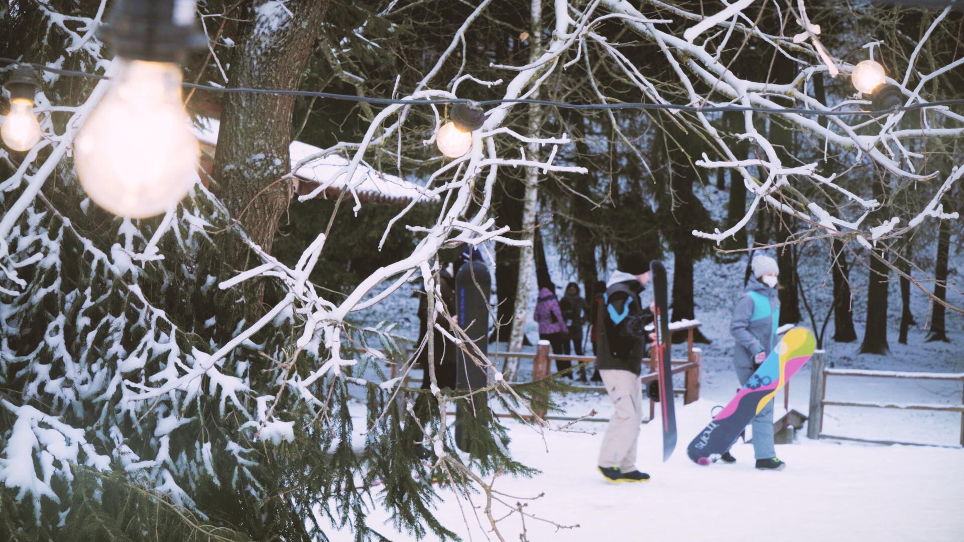 冬季一群好友相约滑雪场滑雪视频的预览图