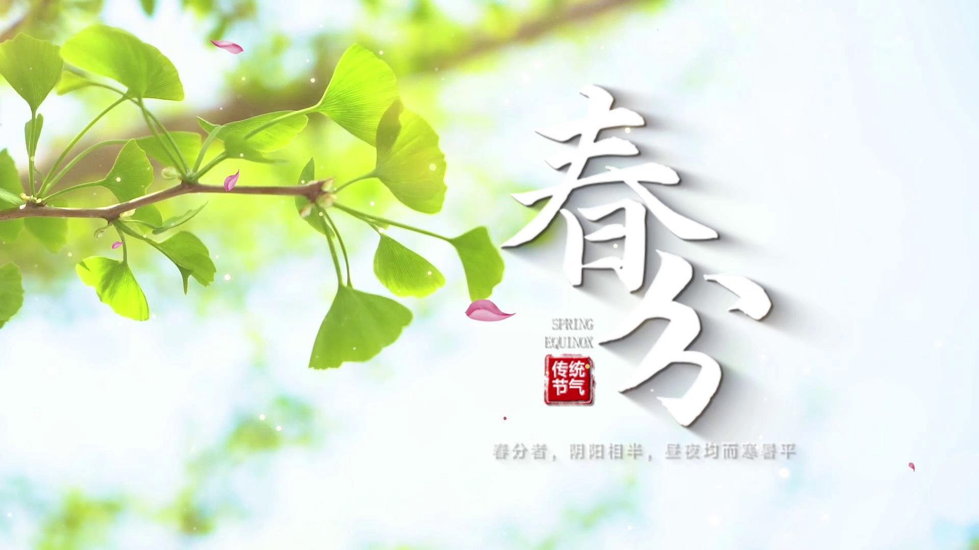 清新春分二十四节水墨开始视频的预览图