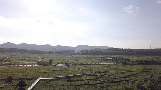 贵州湄潭自然风景视频的预览图