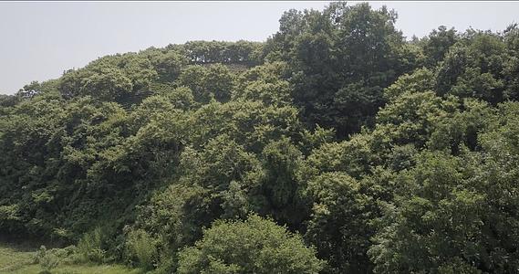 航拍自然风景贵州湄潭视频的预览图