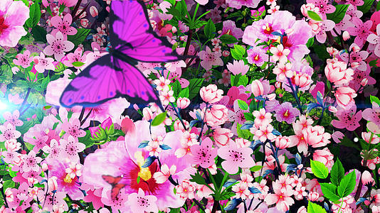 4K唯美的花丛蝴蝶背景素材视频的预览图