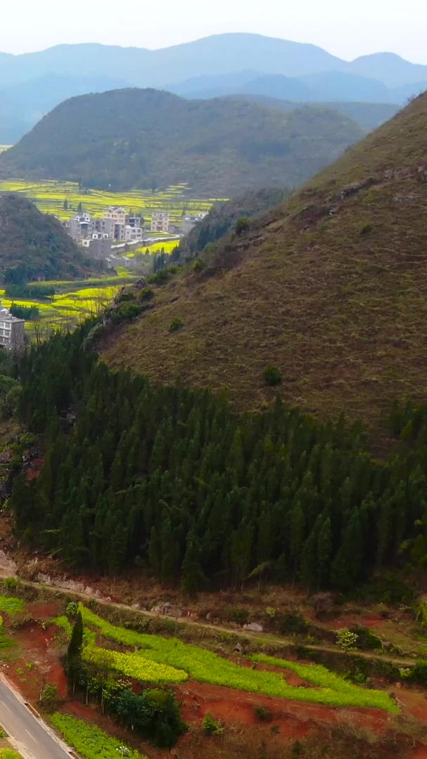 在云南曲靖山上航拍油菜花田和村庄田园风光视频视频的预览图