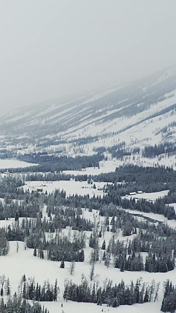 新疆冬季阿尔泰山喀纳斯雪景森林山野旅游风景视频的预览图