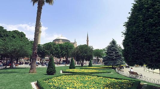 伊斯坦布尔岛有丰富多彩的郁金香和鲜花视频的预览图