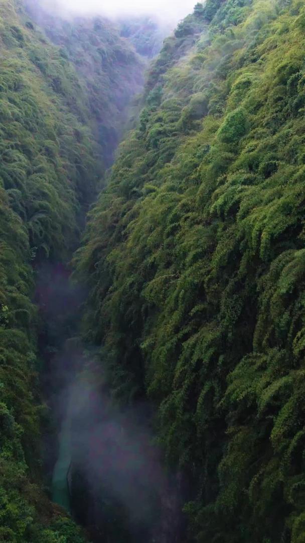 阿依河河谷步行风景航拍视频的预览图