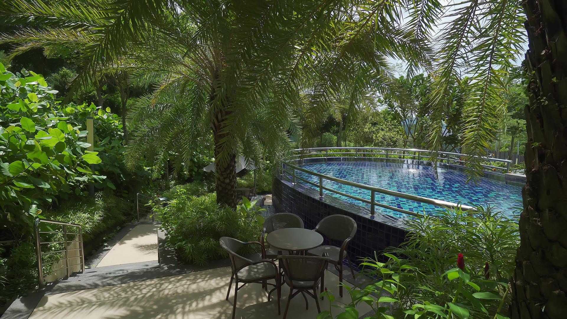 棕榈旁美丽的游泳池视图视频的预览图