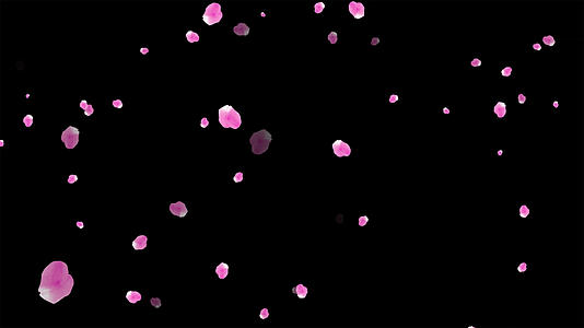 粒子枫叶飘落动画元素带透明度通道60视频的预览图