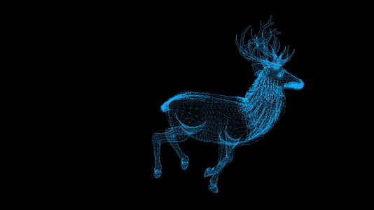 黑色背景鹿的电线框架动画视频的预览图